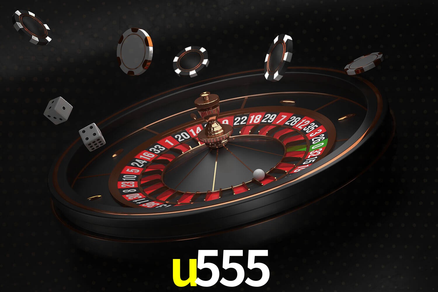 u555